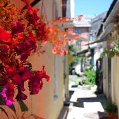 Хостел Свои, Пятигорск, Ставропольский край