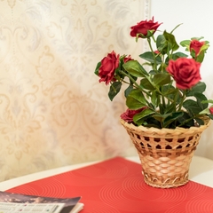 Хостел Свои, Пятигорск, Ставропольский край