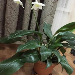 Хостел Централь, Пятигорск, Ставропольский край