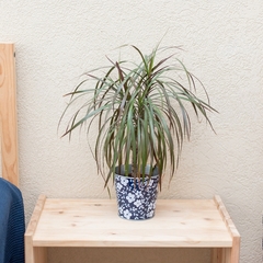 Хостел Свои, Пятигорск, Ставропольский край