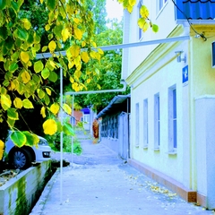 Хостел Свои, Пятигорск, Ставропольский край