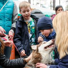База отдыха Шишки на Лампушке - Финская Калевала, Раздолье, Ленинградская область
