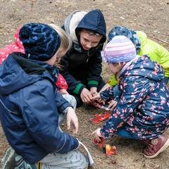 База отдыха Шишки на Лампушке - Финская Калевала, Раздолье, Ленинградская область