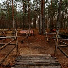 База отдыха Шишки на Лампушке - Финская Калевала, Раздолье, Ленинградская область