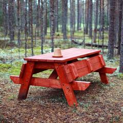 База отдыха Шишки на Лампушке - Финская Калевала, Раздолье, Ленинградская область