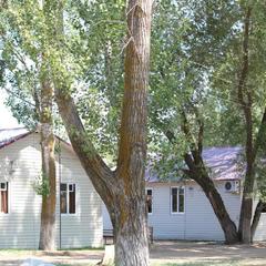 База отдыха Заря, Разночиновка, Астраханская область