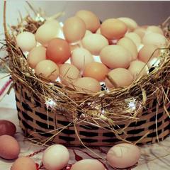 База отдыха Шишки на Лампушке - Финская Калевала, Раздолье, Ленинградская область