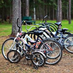 База отдыха Шишки на Лампушке - Финская Калевала, Раздолье, Ленинградская область