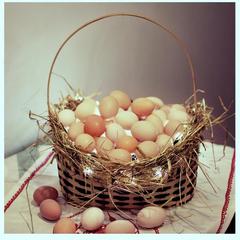 База отдыха Шишки на Лампушке - Финская Калевала, Раздолье, Ленинградская область