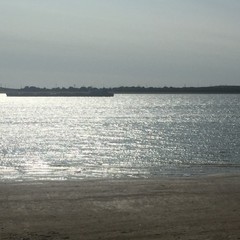 База отдыха Заря, Разночиновка, Астраханская область