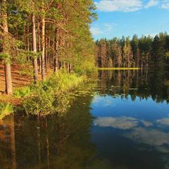 База отдыха Шишки на Лампушке - Финская Калевала, Раздолье, Ленинградская область