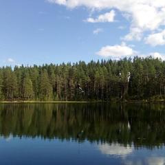 База отдыха Шишки на Лампушке - Финская Калевала, Раздолье, Ленинградская область
