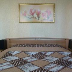 Гостевой дом на Королева, Раменское, Московская область