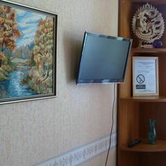 Гостевой дом на Королева, Раменское, Московская область