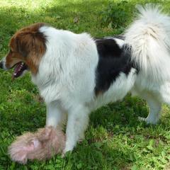 Гостевой дом на Королева, Раменское, Московская область