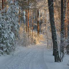 База отдыха Шишки на Лампушке - Финская Калевала, Раздолье, Ленинградская область