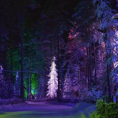 База отдыха Шишки на Лампушке - Финская Калевала, Раздолье, Ленинградская область