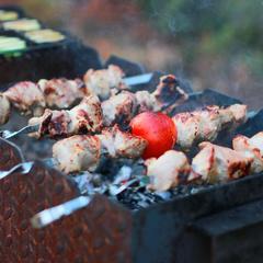 База отдыха Шишки на Лампушке - Финская Калевала, Раздолье, Ленинградская область