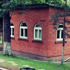 База отдыха Дубрава, Рамонь, Воронежская область