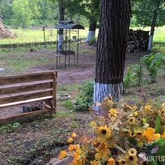 База отдыха Хутор Калина Красная, Рамонь, Воронежская область