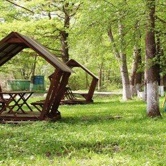 База отдыха Дубрава, Рамонь, Воронежская область