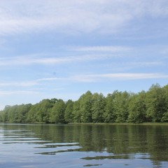 База отдыха Дубки, Рамонь, Воронежская область