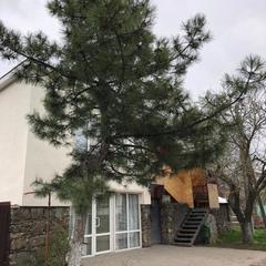 Апартаменты Рассвет, Рассвет, Ростовская область