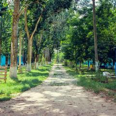 База отдыха Росинка, Растопуловка, Астраханская область