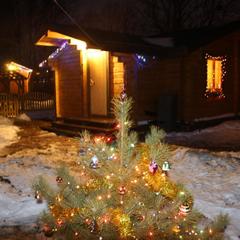 Рыболовная база Ба-Рыбина, Растуново, Московская область