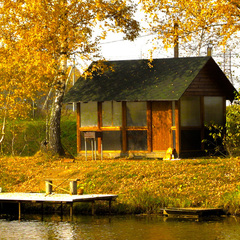 Рыболовная база Ба-Рыбина, Растуново, Московская область