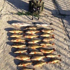 Рыболовно-охотничья база Осетр, Ревин Хутор, Астраханская область