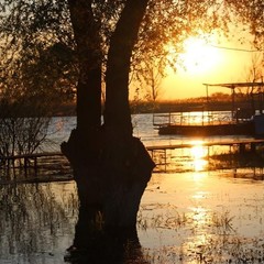 Рыболовная база Удача Плюс, Ревин Хутор, Астраханская область