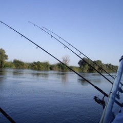 Рыболовно-охотничья база Осетр, Ревин Хутор, Астраханская область