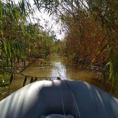 Рыболовная база Удача Плюс, Ревин Хутор, Астраханская область