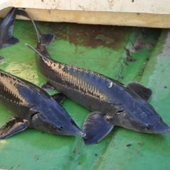 База отдыха Озерный рай, Рогожа, Тверская область