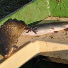 База отдыха Озерный рай, Рогожа, Тверская область