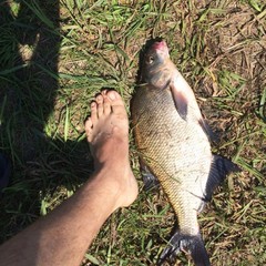 База отдыха Озерный рай, Рогожа, Тверская область