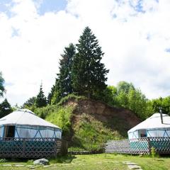 Кемпинг Юртовый Комплекс, Рузский район, Московская область