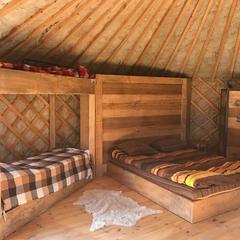 Кемпинг Юртовый Комплекс, Рузский район, Московская область