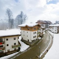 Отель Приют Панды, Красная Поляна, Краснодарский край