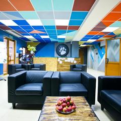 Отель Приют Панды, Красная Поляна, Краснодарский край