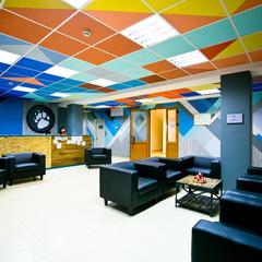 Отель Приют Панды, Красная Поляна, Краснодарский край