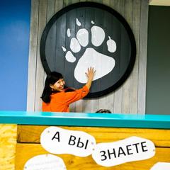 Отель Приют Панды, Красная Поляна, Краснодарский край