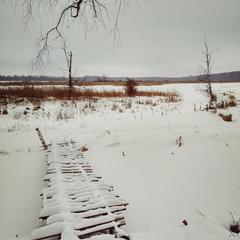 Кемпинг Юртовый Комплекс, Рузский район, Московская область