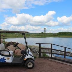 Отель Гольф Клуб Горки, Ропша, Ленинградская область