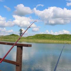 Отель Гольф Клуб Горки, Ропша, Ленинградская область