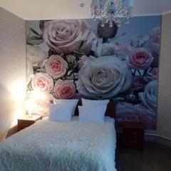 Гостиница Былина, Россошь, Воронежская область