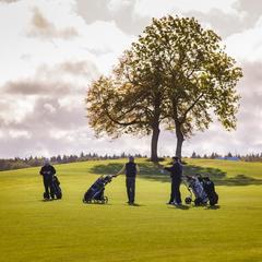 Отель Гольф Клуб Горки, Ропша, Ленинградская область