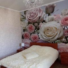 Гостиница Былина, Россошь, Воронежская область