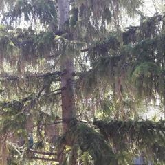 Гостевой дом Возле озера Неро, Ростов Великий, Ярославская область